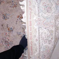 ۱۲متری ۱عدد ۹متری ۱عددفرش ماشینی تراکم ۳۶۰۰|فرش|تهران, شهرک شریعتی|دیوار