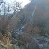 بادیگارد راننده وهمراهی شما در سفر وکار