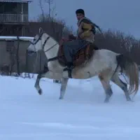 اخته هفت سال