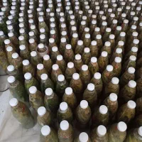 خیارشور بطری ودبه.ترد.ادویه .کره مغزیجات.مانکن|خوردنی و آشامیدنی|بجنورد, |دیوار