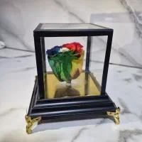 گل رز جاودان وارداتی هفت رنگ و تک رنگ