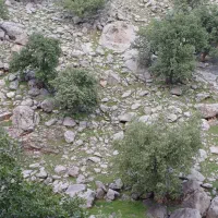 فروش سنگ