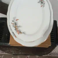 ظروف سرو وپذیرایی