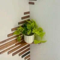 فروشنده و نیروی نظافت