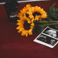 عکاسی عروس محضر تولد محصول نوزاد