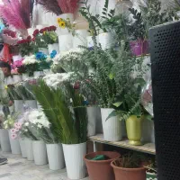 ادمین اینستاگرام