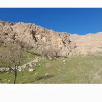 فروش ۳.۸هکتار باغ و زمین|فروش دفتر صنعتی، کشاورزی، تجاری|فارسان, |دیوار