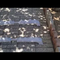 باربند اسپرت.