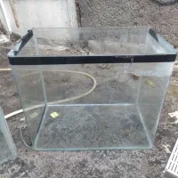 آکواریوم شیشه خم