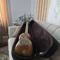 تار حرفه‌ای ساخت استاد «پویا زارعی» - مدل ۱۴۰۰|سازهای سنتی|چالوس, |دیوار