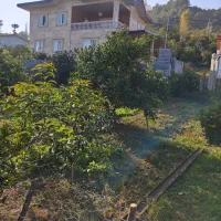 فروش زمین|فروش زمین و ملک کلنگی|کتالم و سادات شهر, |دیوار