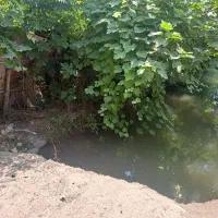 فروش|فروش دفتر صنعتی، کشاورزی، تجاری|شفت, |دیوار