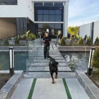 رهن و اجازه ۱ ساله|اجارهٔ خانه و ویلا|گلمکان, |دیوار