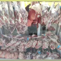 مرغ و گوشت