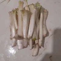 کنگرروزانه بدون خاک وخاربدون نیازبه پاک کردن نداره