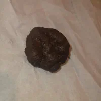 فروش چندقطعه سنگ مشکوک به شهابسنگ|کلکسیون اشیاء عتیقه|شیراز, شهرک مخابرات|دیوار