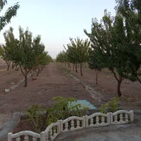 فرصتی طلایی خریدباغ بهشتی