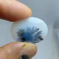 ۳عدد شجر پیاده زیبا|جواهرات|زنجان, |دیوار