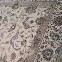 فرش ۶ متری|فرش|کرمانشاه, |دیوار