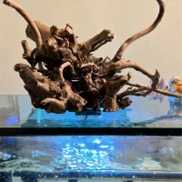 چوب اکواریوم