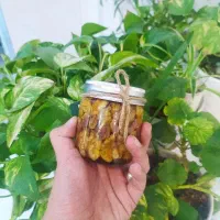 معجون عسل،گردو و پسته|خوردنی و آشامیدنی|کرج, دهقان ویلا|دیوار