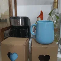 ماگ