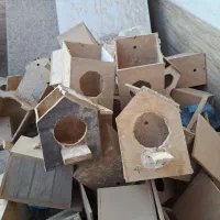 فروش لانه فنج