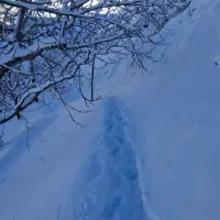 سرویس ۲ تا بچه از فیض اباد به چهار راه وکیل