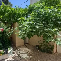 ویلایی طبقه / مسعود