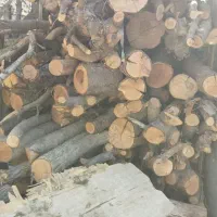 کنده خشک وهیزم خشک جهت زغال