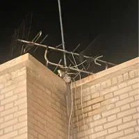 علیر (آنتن) همراه با میله نگه دارنده آهنی