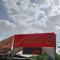 کارگر ساده سالندار رستوران