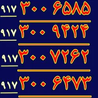 ۹۱۷.۱۰۰.۳۰۰.۷۰۰|سیم‌کارت|شیراز, معالی‌آباد|دیوار
