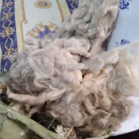 پشم‌‌بهاره‌گوسفندوتشک‌ولحاف‌پشمی‌وبالش|رختخواب، بالش، پتو|مشهد, نوید|دیوار