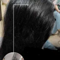 افر ویژه عیدقربان