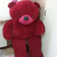 خرس بزرگ کاملا نو