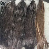 خرید مو طبیعی به بالا ترین قیمت روز