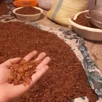 کشمش روستادرجه1 وشیره انگور ورب دبه ای|خوردنی و آشامیدنی|پاکدشت, حصار امیر|دیوار