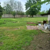 فروش ۴/۵۰۰متر گاوداری سند تک برگ|فروش دفتر صنعتی، کشاورزی، تجاری|ماکلوان, |دیوار