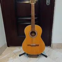 گیتار M5 پارسی به همراه پایه.