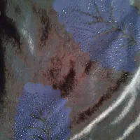 پارچه مخمل نگین دار