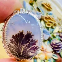 فروش شجر شکیل