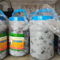 خرما جاهین زردان و مضافتی و کپگ خرما مضافتی|خوردنی و آشامیدنی|پسکوه, |دیوار