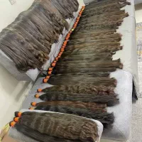 مرکزخریدوفروش موی طبیعی بدون واسطه خریدارموی طبیعی