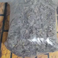 چای کوهی تبریز تازه