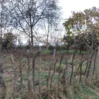 زمین-مسکونی-700-متری-با-قابلیت-قطعه-بندی