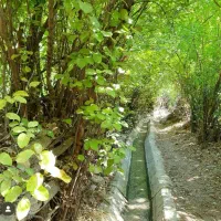 تور یک روزه روستاگردی دشتک|تور و چارتر|شیراز, ارم|دیوار