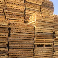 پالت چوبی و پلاستیکی . خرید و فروش انواع|عمده‌فروشی|قرچک, پویینک|دیوار