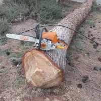 خرید و فروش چوب - برش هرس