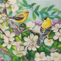 طراحی چهره سیاه قلم و مدادرنگی